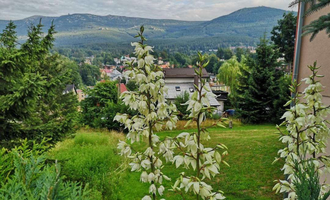 Willa Mona Bed & Breakfast Szklarska Poreba Luaran gambar